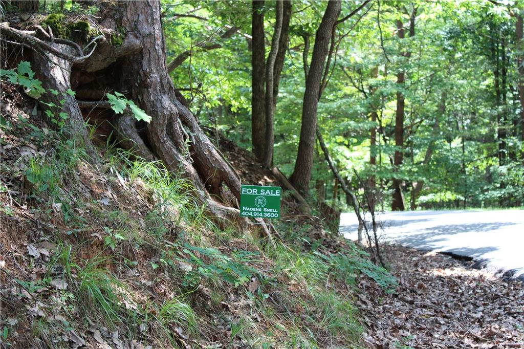 Denny Ridge Road, Jasper, Georgia image 4