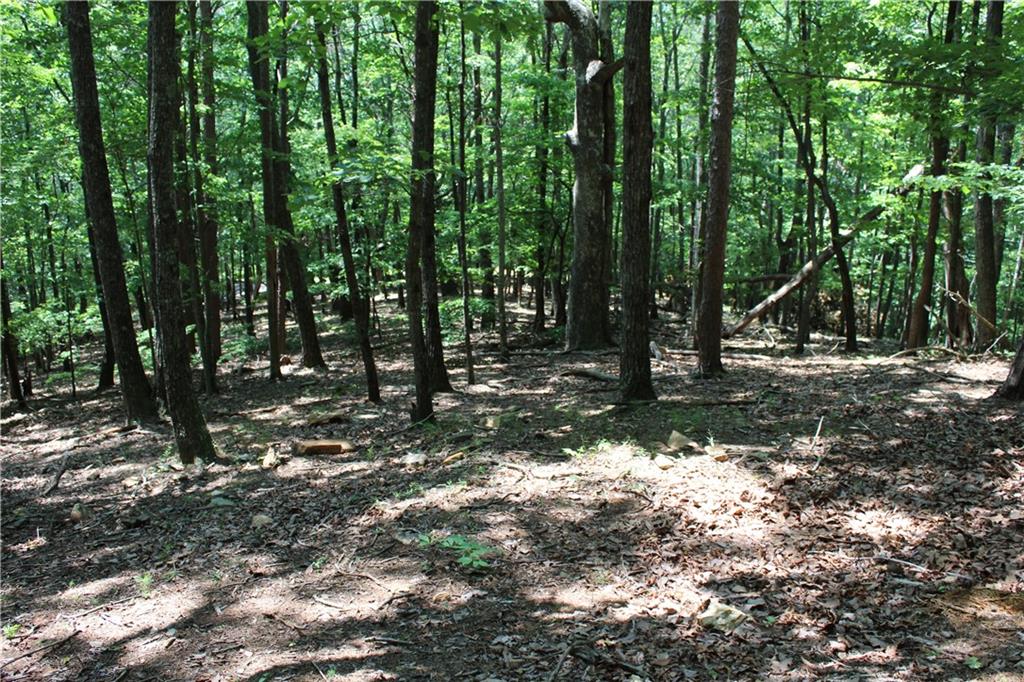 Denny Ridge Road, Jasper, Georgia image 46
