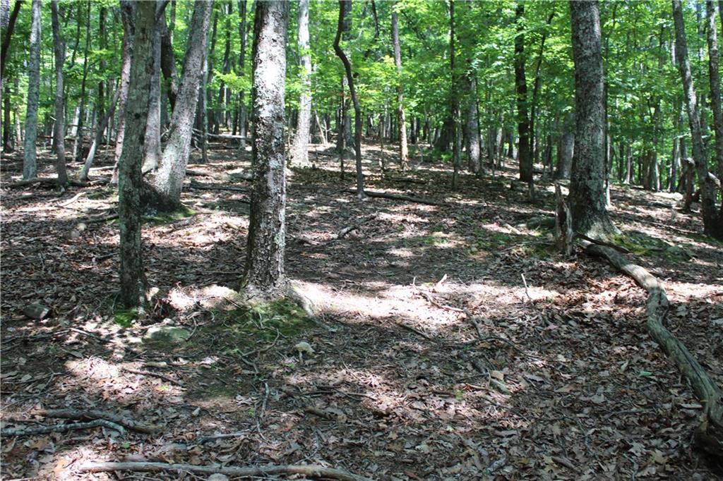 Denny Ridge Road, Jasper, Georgia image 7