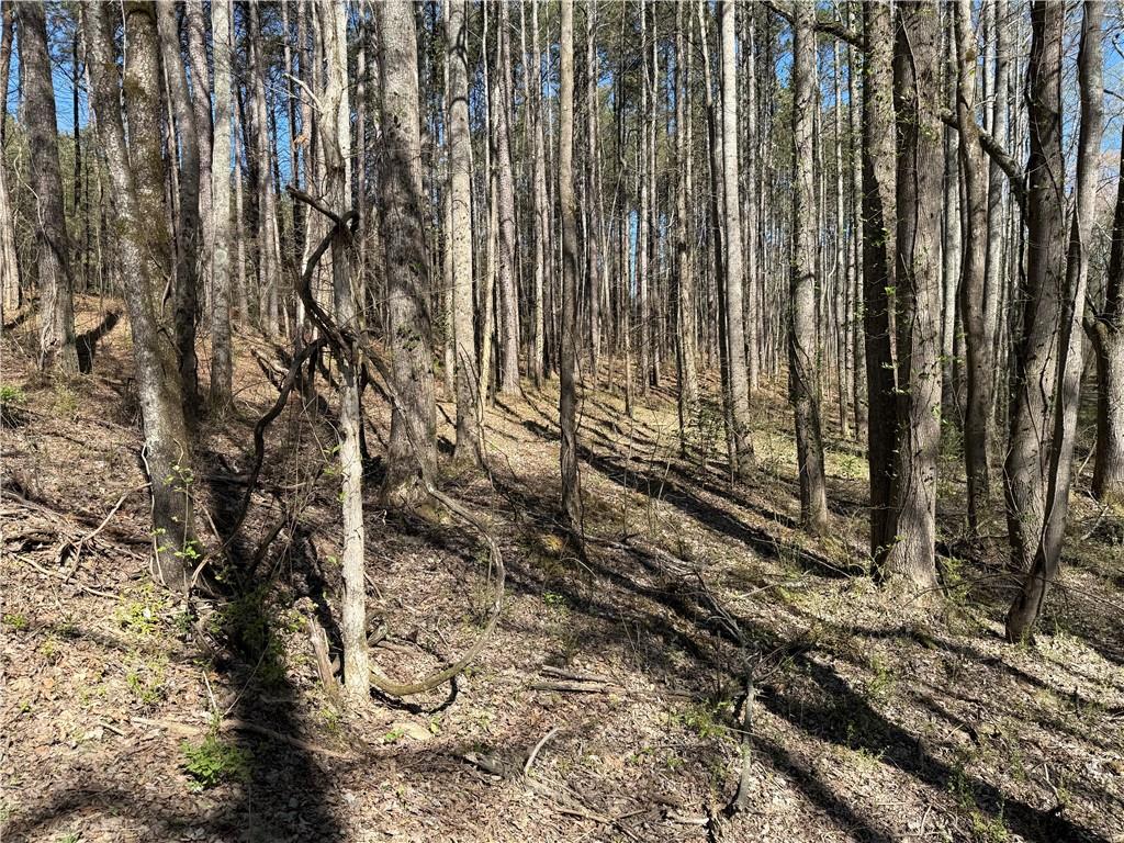 00 Henderson Mountain Road