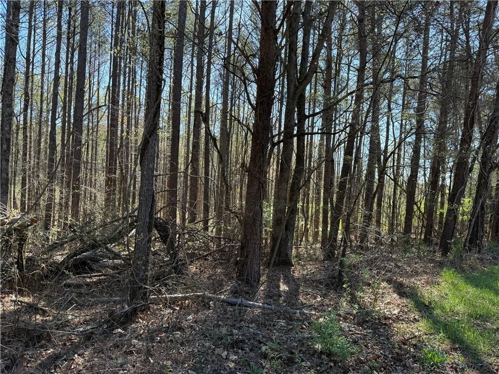 00 Henderson Mountain Road