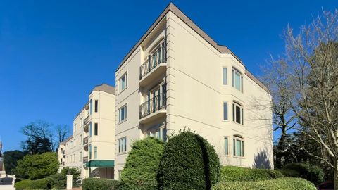 3638 Peachtree Road NE 406 Atlanta GA 30319