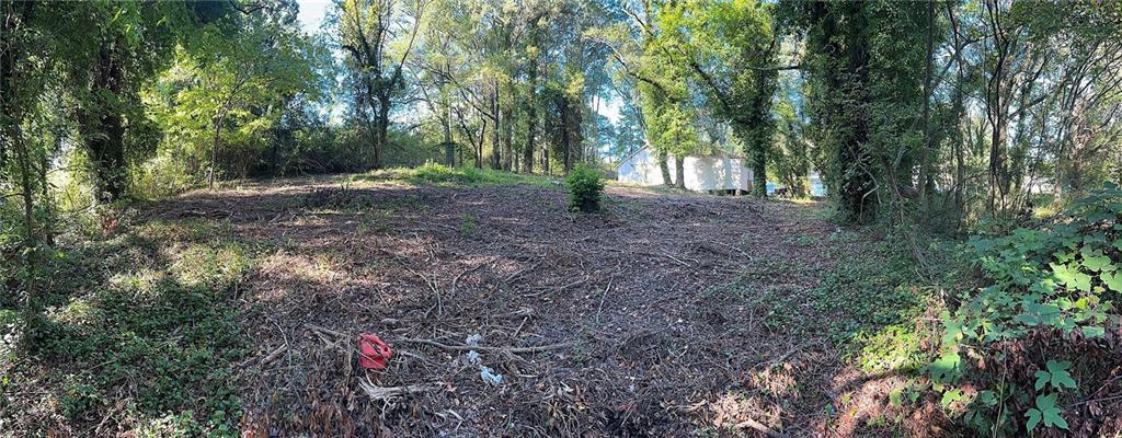 00 Webb Lot #00 Avenue, Atlanta, Georgia image 1