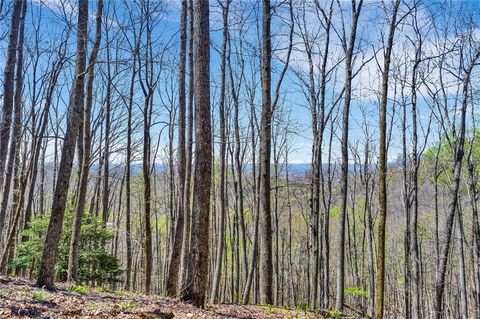 A home in Ellijay