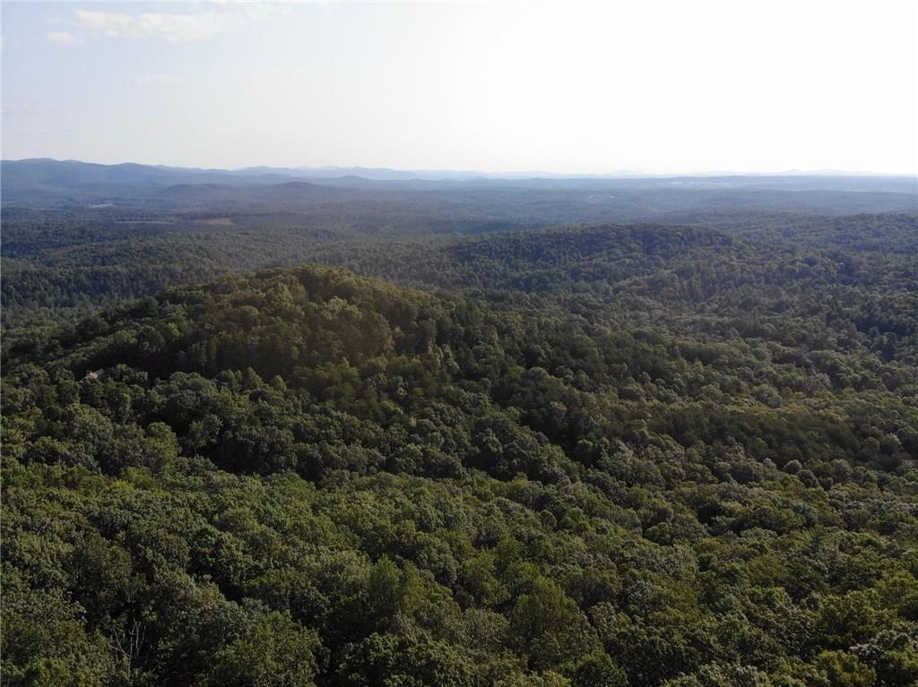 3005 Wild Turkey Knoll