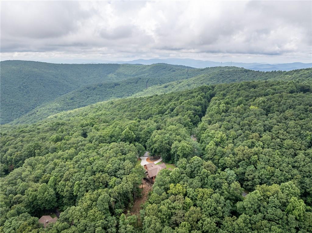 31 High Cliff, Jasper, Georgia image 43