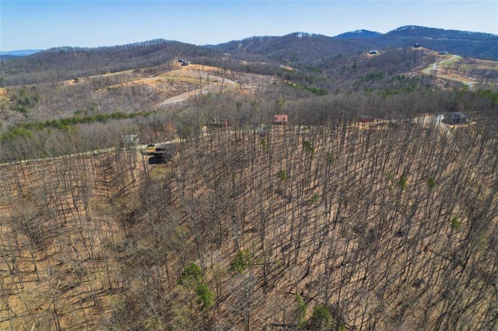 Lot 35 Heatherwood Way, Talking Rock, Georgia image 7