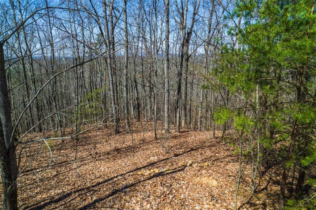 Lot 35 Heatherwood Way, Talking Rock, Georgia image 17