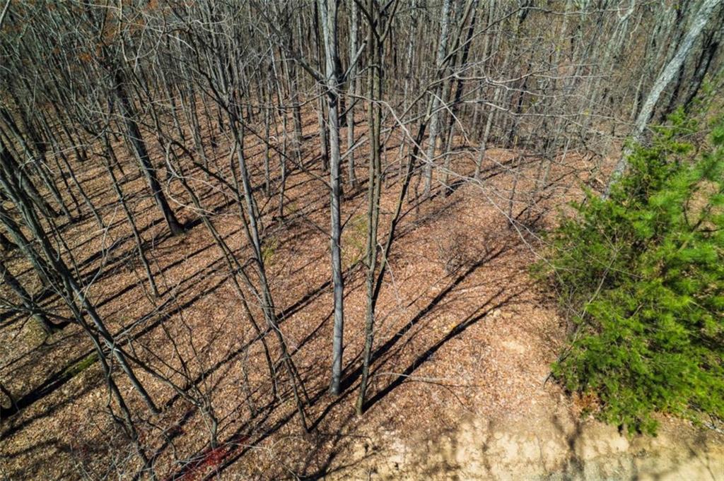 Lot 35 Heatherwood Way, Talking Rock, Georgia image 14