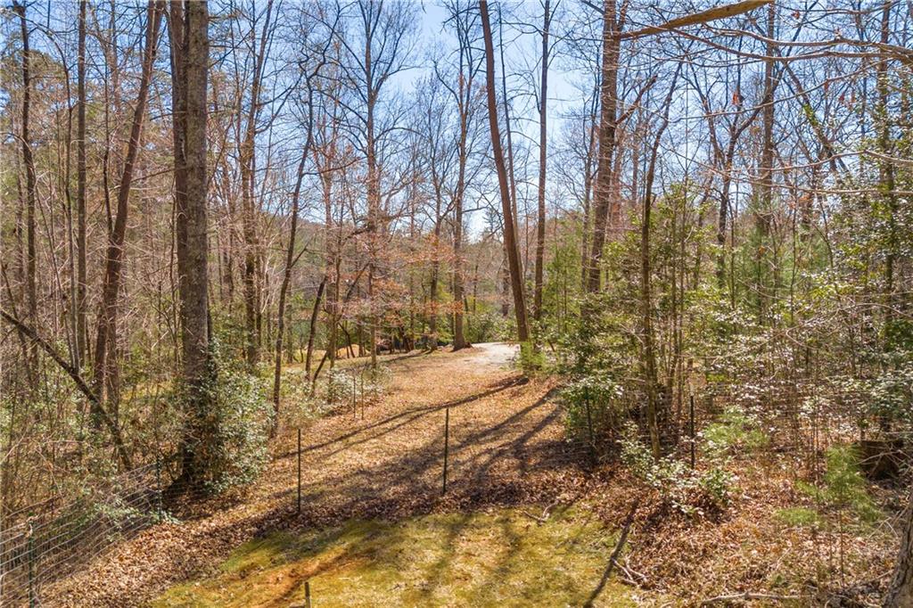 84 Weatherly Road, Clarkesville, Georgia image 48