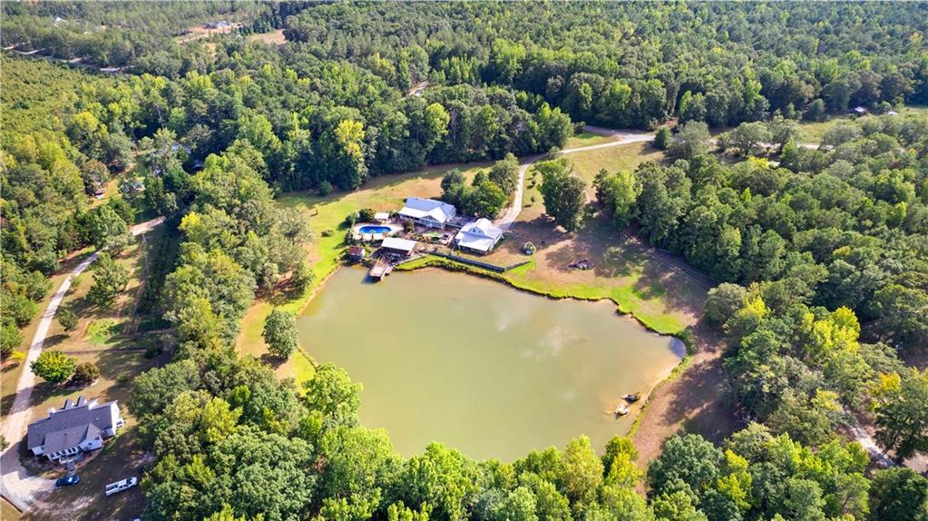 1075 Sheppard Road, Meansville, Georgia image 9