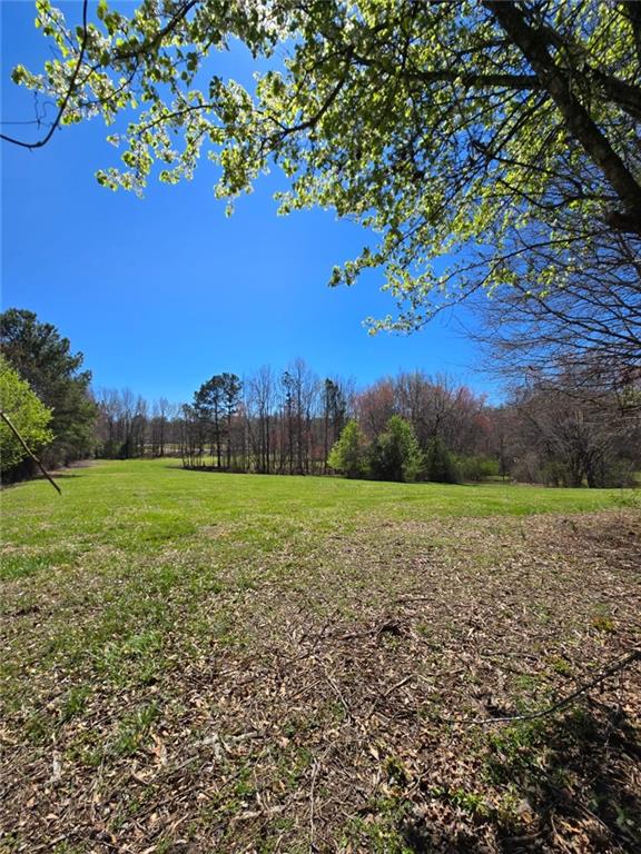 6409 Lights Ferry Rd, Flowery Branch, Georgia image 17