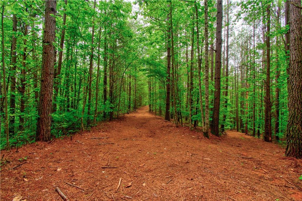 120 Twisted Pines Crossing, Dahlonega, Georgia image 41