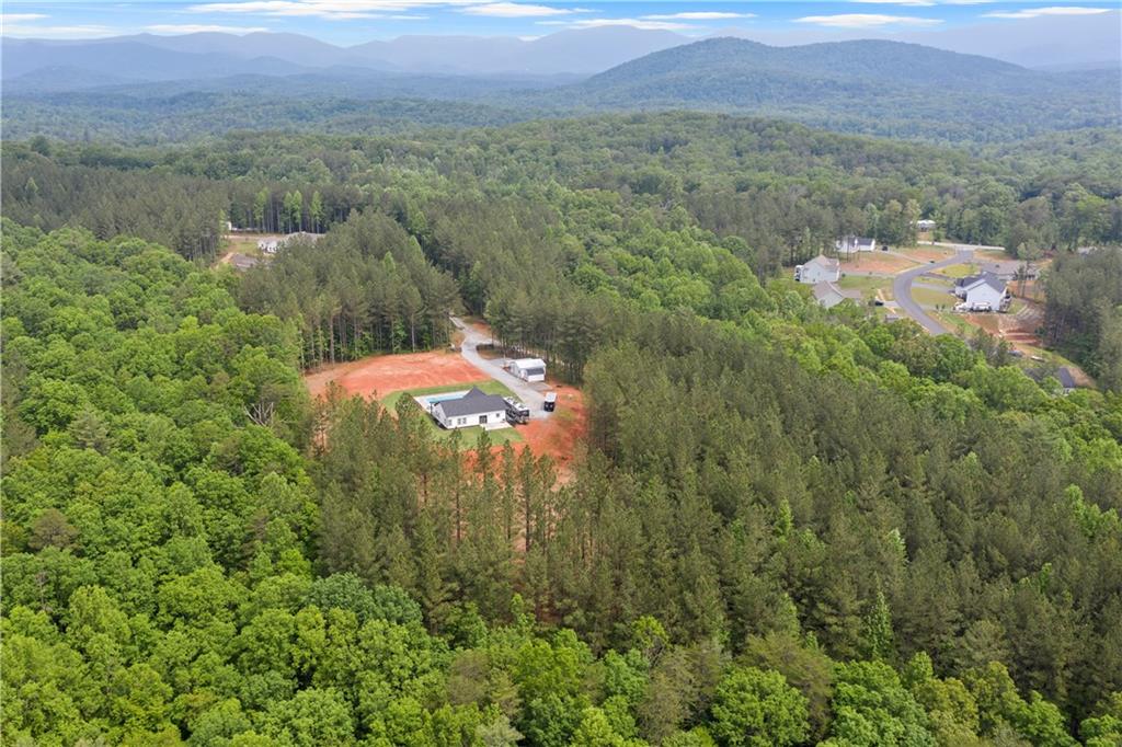 120 Twisted Pines Crossing, Dahlonega, Georgia image 48