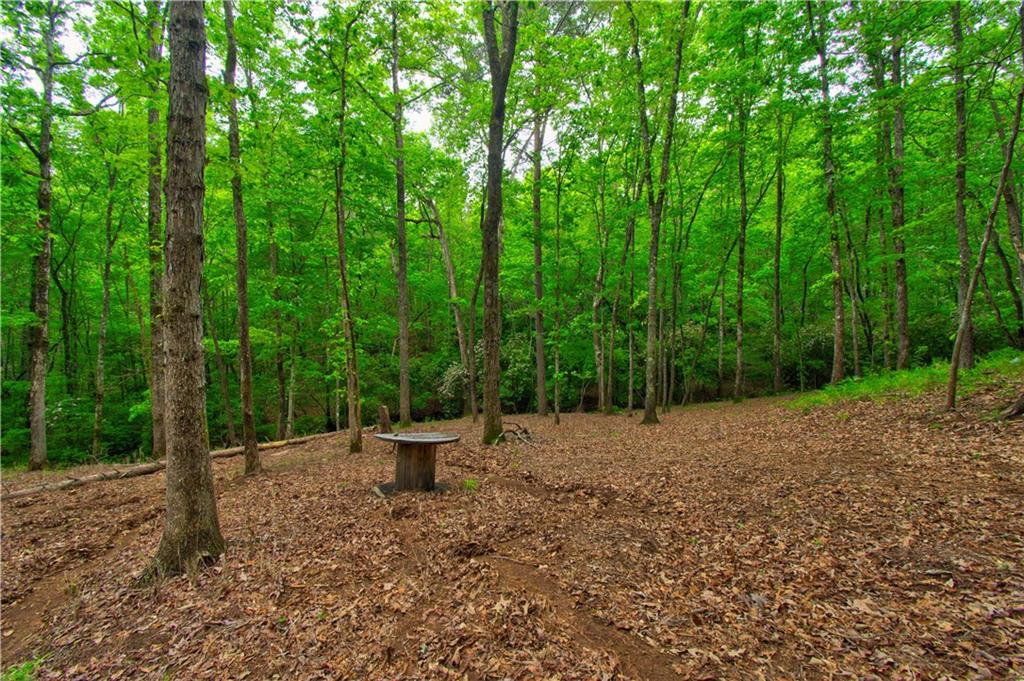 120 Twisted Pines Crossing, Dahlonega, Georgia image 42