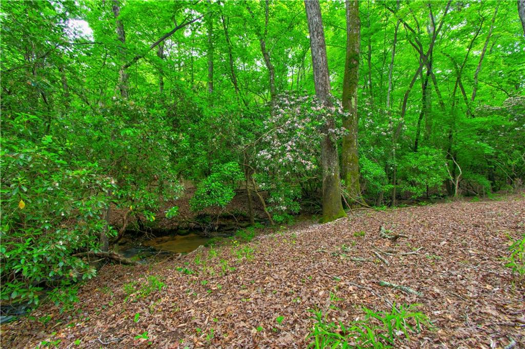 120 Twisted Pines Crossing, Dahlonega, Georgia image 43