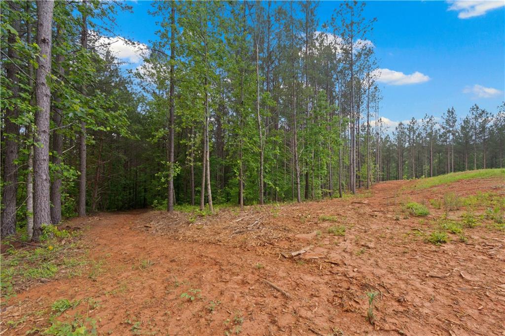 120 Twisted Pines Crossing, Dahlonega, Georgia image 40