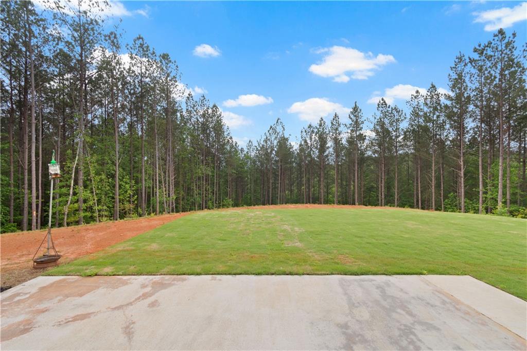 120 Twisted Pines Crossing, Dahlonega, Georgia image 18