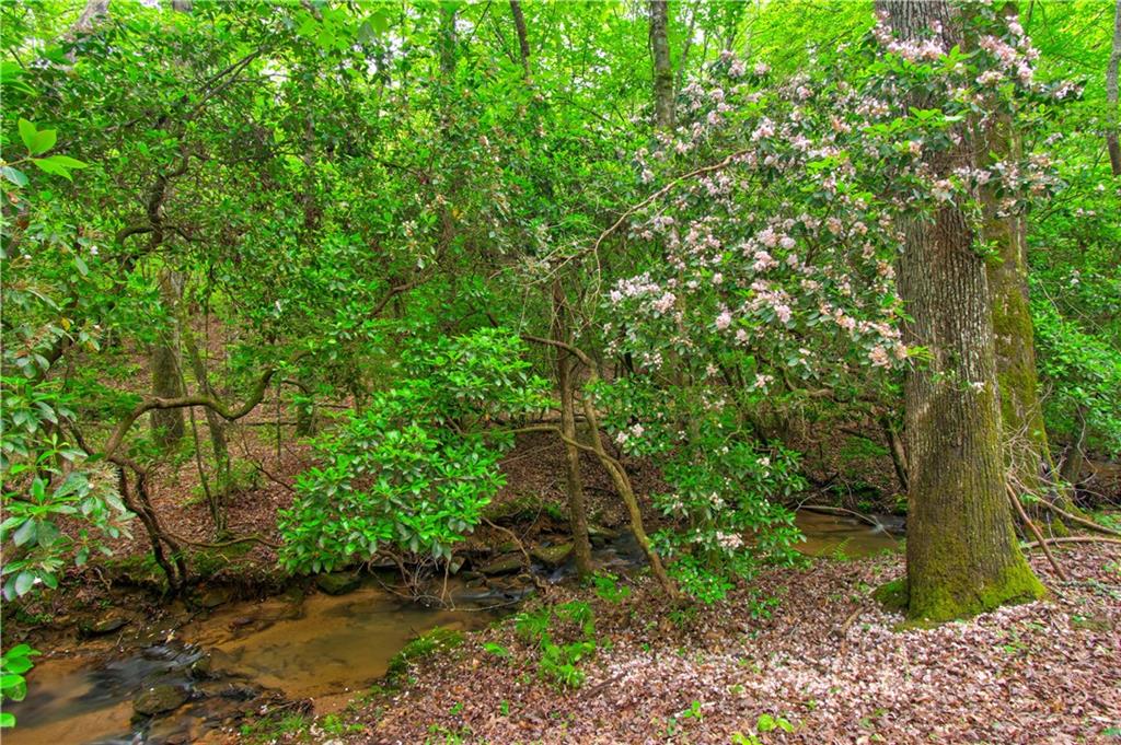 120 Twisted Pines Crossing, Dahlonega, Georgia image 45