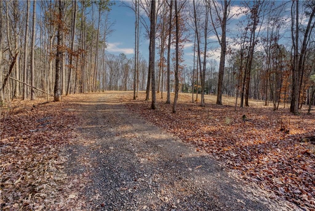Avery Road, Canton, Georgia image 7