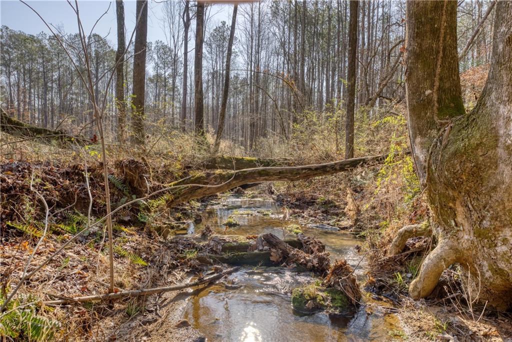Avery Road, Canton, Georgia image 3