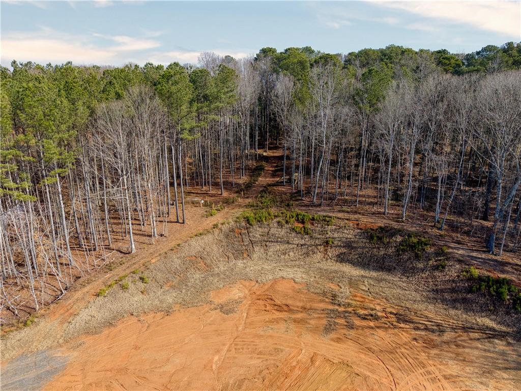 Avery Road, Canton, Georgia image 9