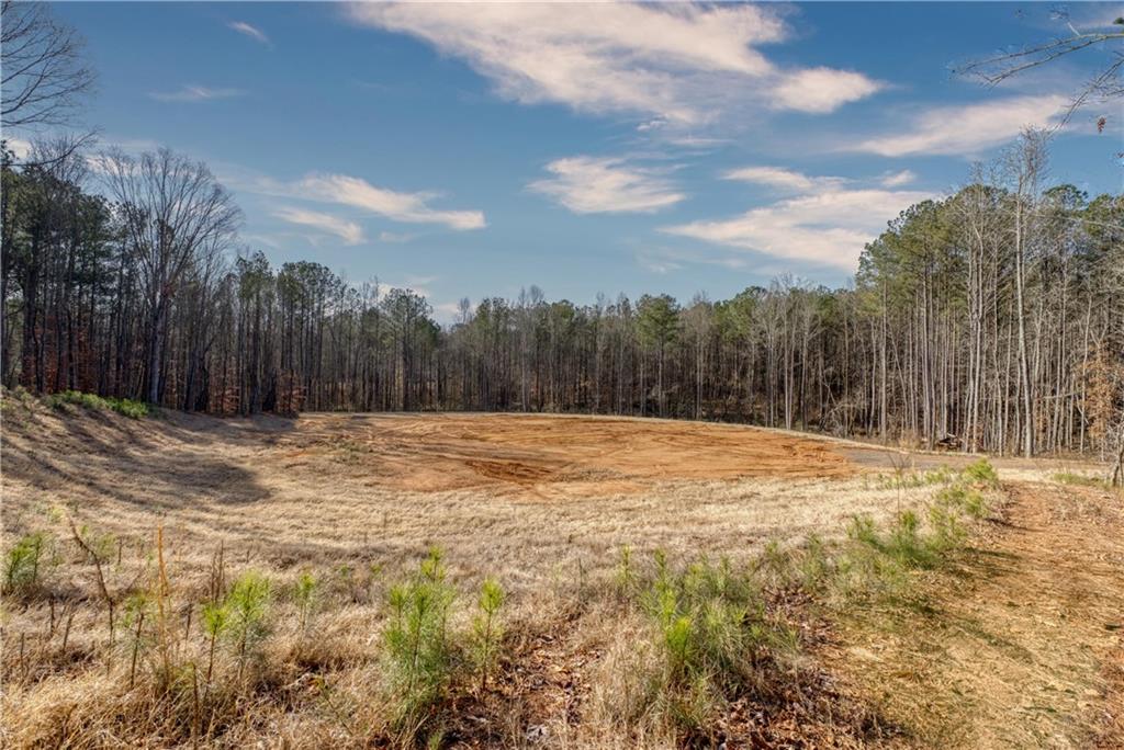 Avery Road, Canton, Georgia image 18