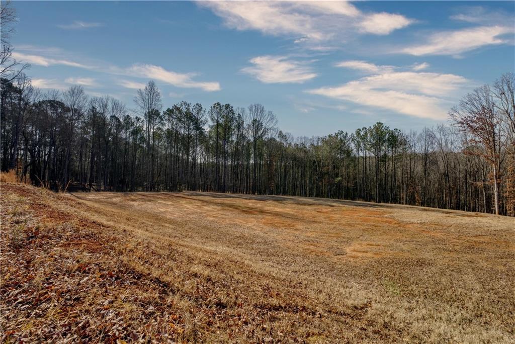 Avery Road, Canton, Georgia image 8
