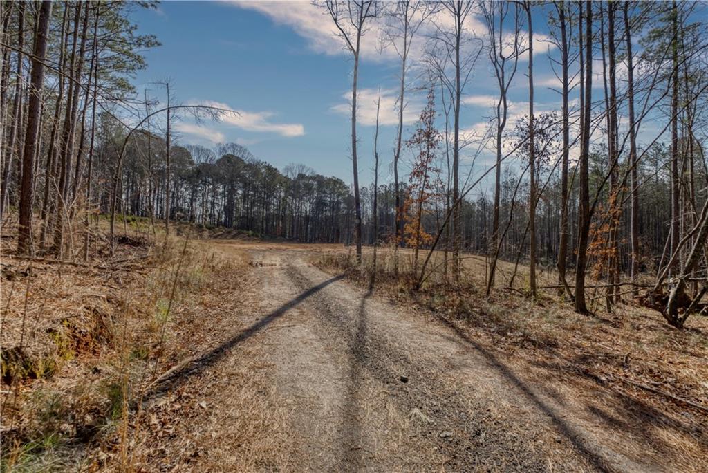 Avery Road, Canton, Georgia image 4