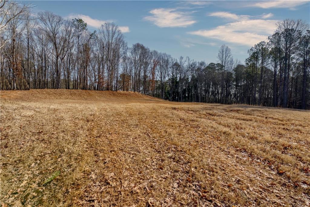 Avery Road, Canton, Georgia image 5