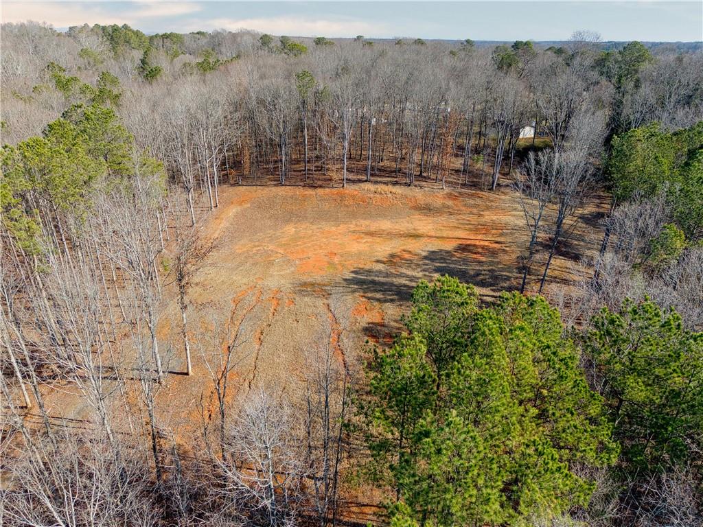 Avery Road, Canton, Georgia image 16