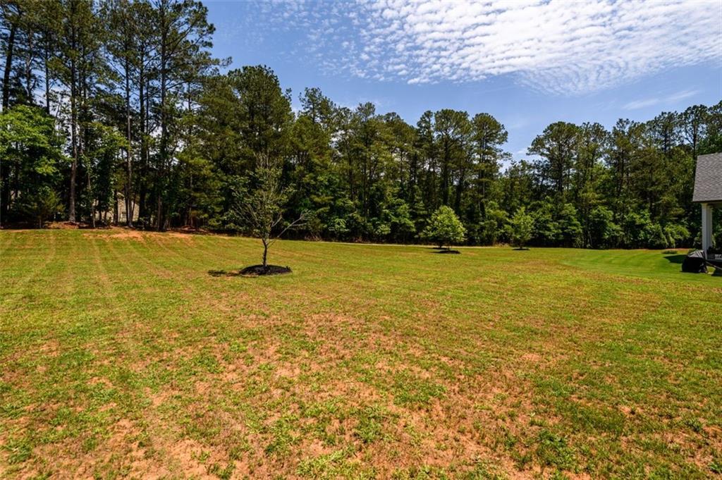 400 Fox Valley Drive, Monroe, Georgia image 50