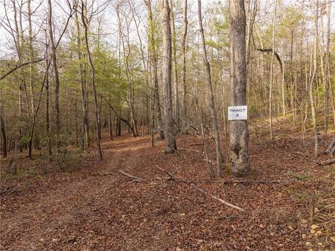 Vacant Land For Sale - TR 2 East New Hope Road<br/> Ellijay, GA 30536