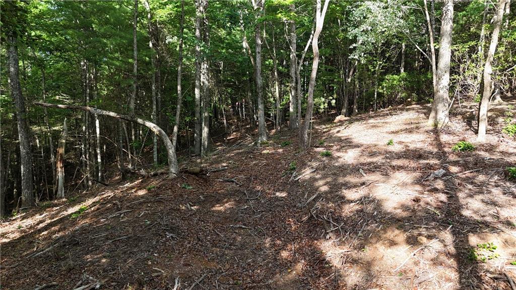 Beautiful 11.81 Acres in the Scenic Stover Mountain Area – East New Hope Road, Ellijay, GA. Welcome to your own slice of North Georgia paradise! This 11.81 acre tract is part of a cherished family estate that has recently been divided and rezoned into residential parcels ranging from 2.4 to 11.81 acres. Nestled in the serene and sought-after Stover Mountain area of Ellijay, this property offers a peaceful, wooded setting with gorgeous mature trees and a natural landscape that invites privacy, tranquility, and connection with nature. Whether you're dreaming of building a cozy mountain retreat or a full-time home, this property provides the perfect canvas. The only restriction is that no mobile or manufactured homes are allowed, helping to preserve the beauty and integrity of the area. Conveniently located yet feeling miles away from the hustle and bustle, you'll enjoy all the charm of mountain living while still being within easy reach of Ellijay's quaint shops, restaurants, and outdoor adventures. Don’t miss your chance to claim a piece of this beautifully preserved land in the heart of the North Georgia mountains!