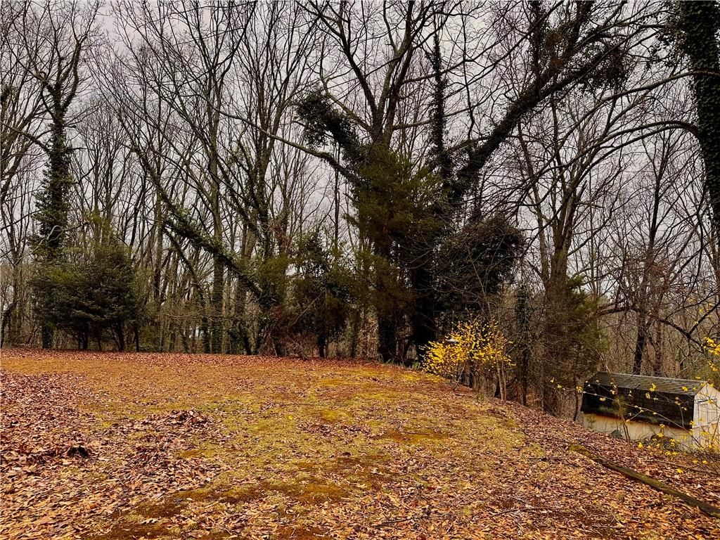 Photo of 2598 White Sulphur Road, Gainesville, GA 30501 (MLS # 7729317)