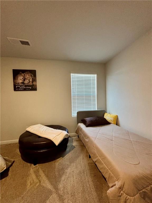 1367 Midnight Ride Court, Hampton, Georgia image 35