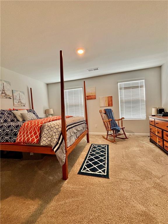 1367 Midnight Ride Court, Hampton, Georgia image 44