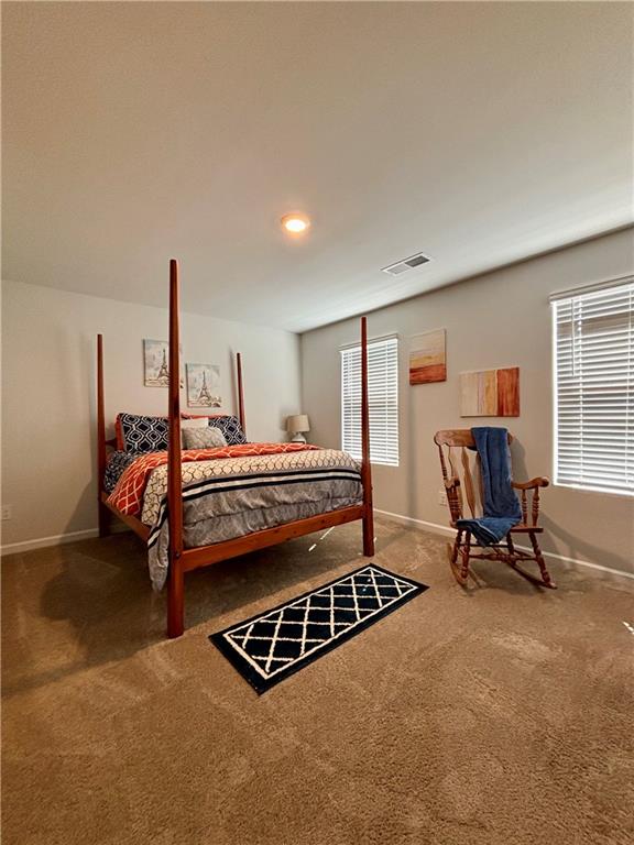 1367 Midnight Ride Court, Hampton, Georgia image 42