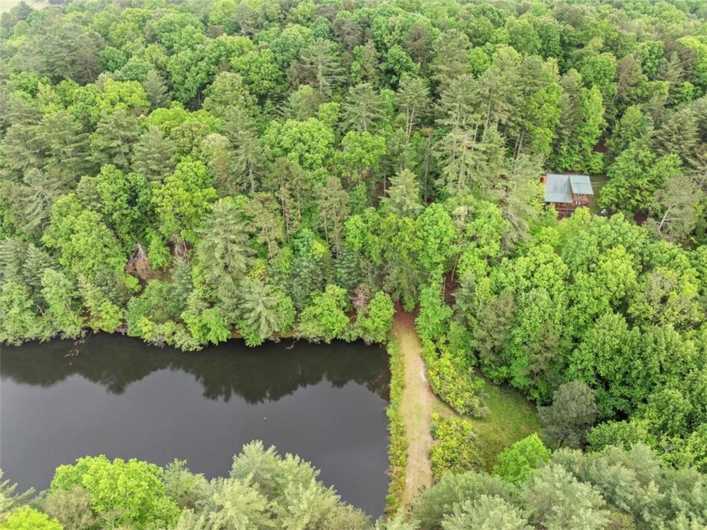 168 Spring Lake Drive, Ellijay, Georgia image 40