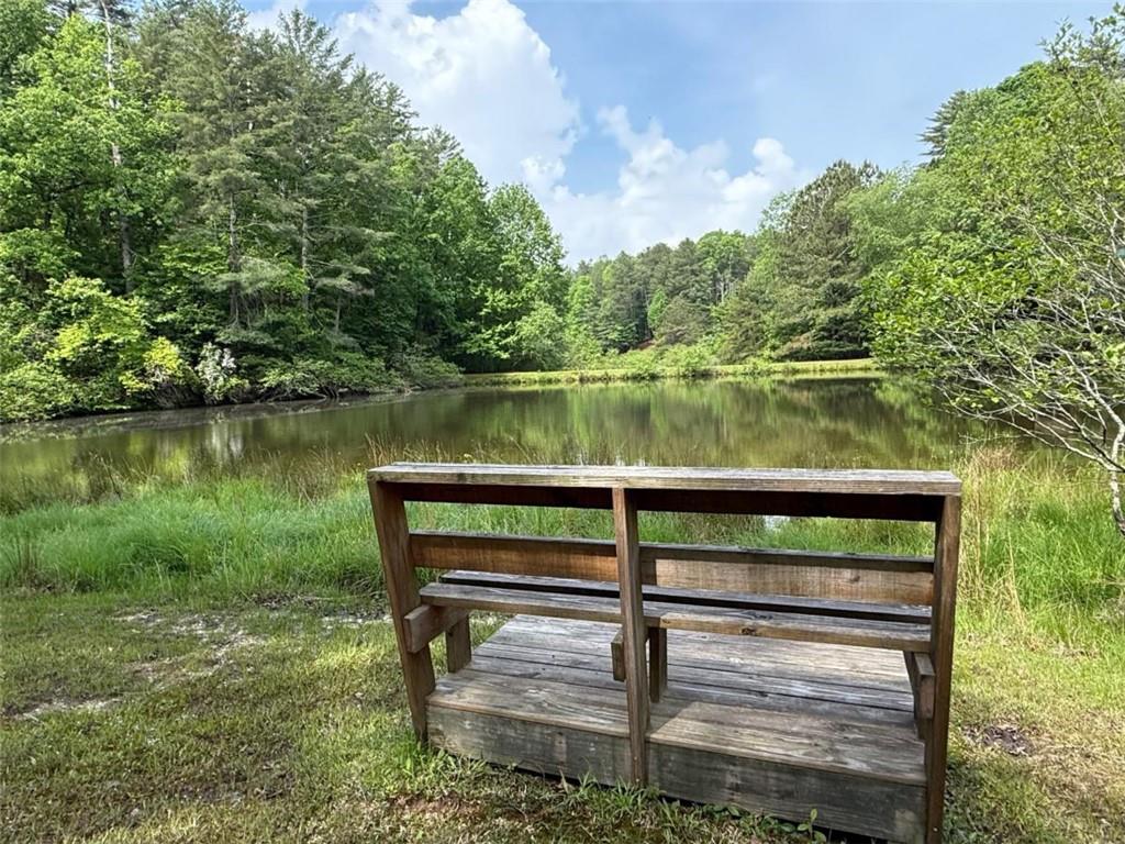 168 Spring Lake Drive, Ellijay, Georgia image 47