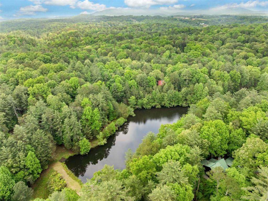 168 Spring Lake Drive, Ellijay, Georgia image 42