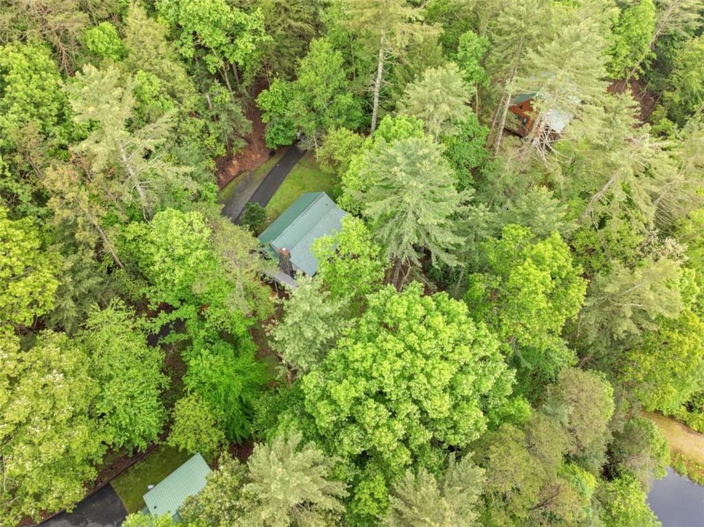 168 Spring Lake Drive, Ellijay, Georgia image 39