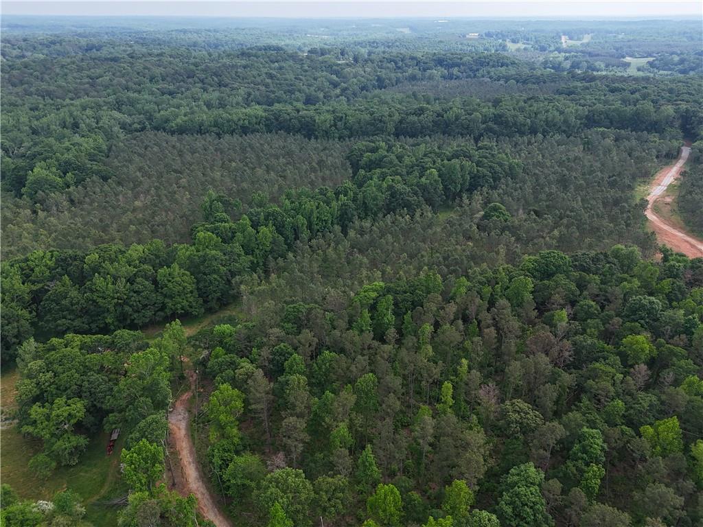 Watkins Farm Road, Nicholson, Georgia image 8