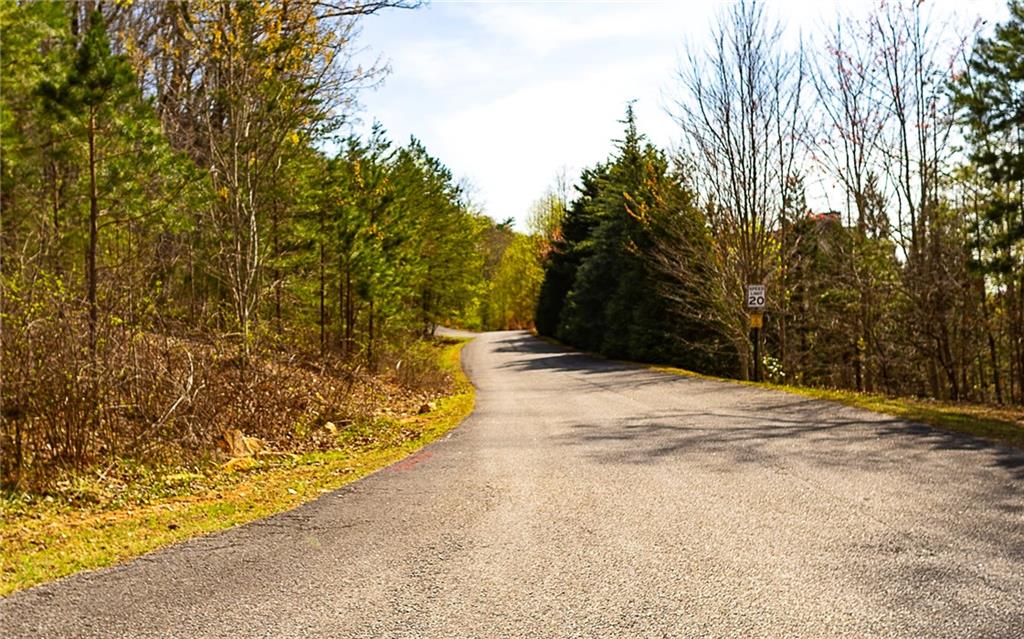 00 Teel Mountain Way, Cleveland, Georgia image 6