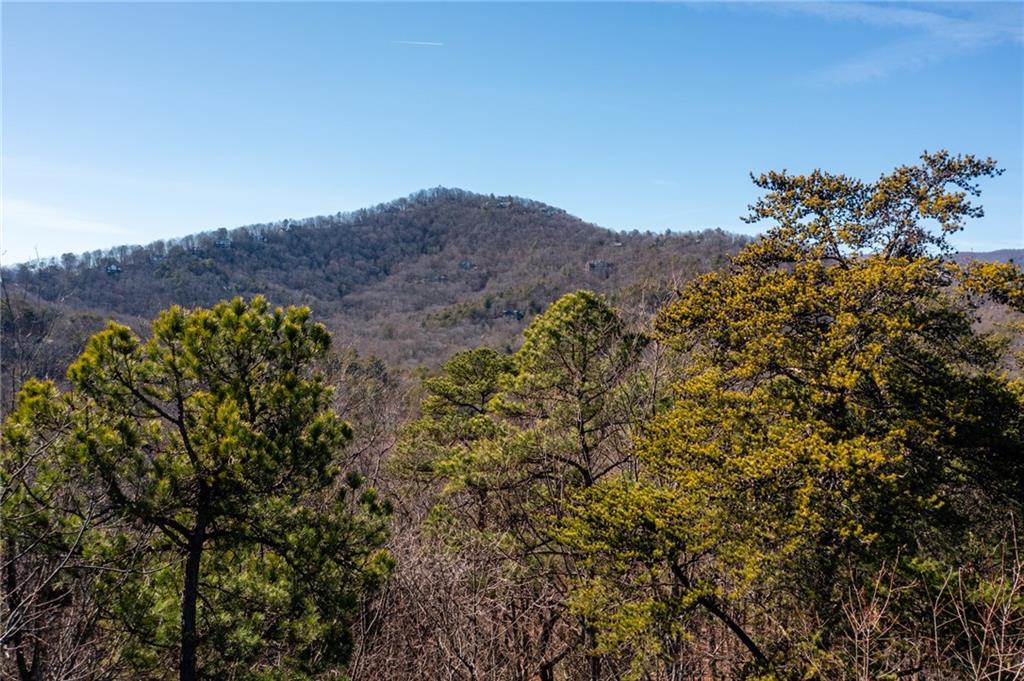 2197 Mcelroy Mountain Drive, Big Canoe, Georgia image 4