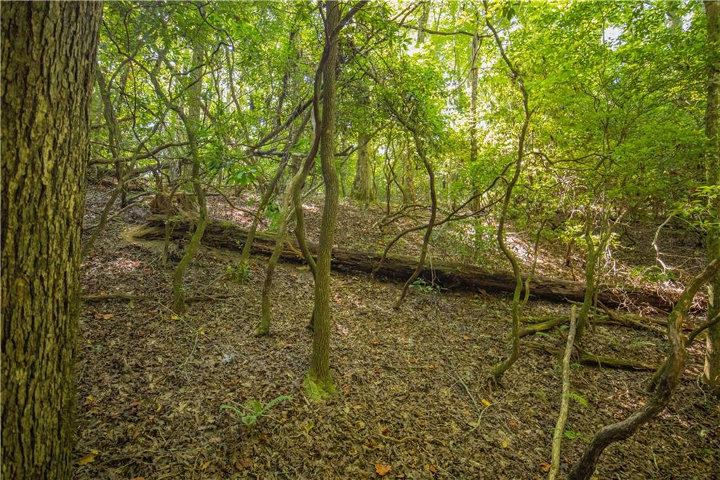 Nimblewill Creek Road, Dahlonega, Georgia image 9