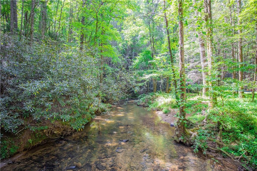 Nimblewill Creek Road, Dahlonega, Georgia image 16