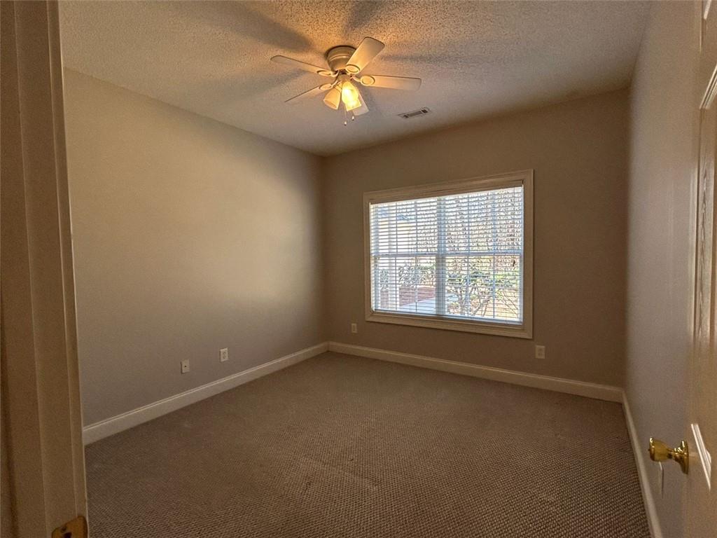 359 Cannongate Road, Sharpsburg, Georgia image 8