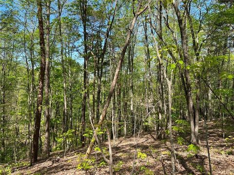 Vacant Land For Sale - 269 Appleberry Mountain Road<br/> Waleska, GA 30183