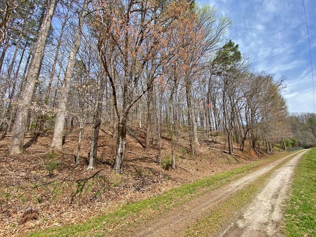 4.6ac Heritage Drive, Dahlonega, Georgia image 12